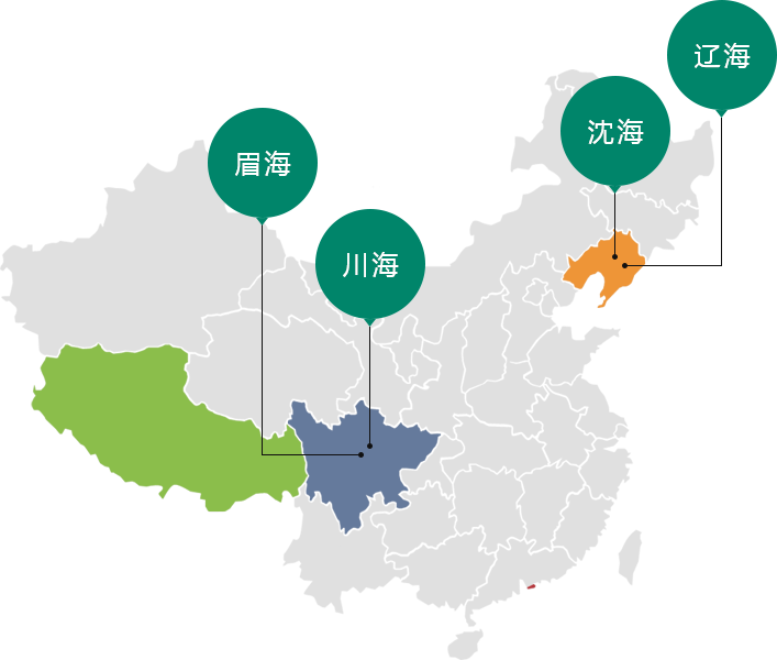 四川尊龙凯时人生就是博制药有限公司